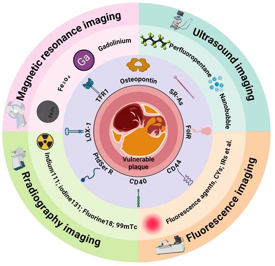 Theranostics Image