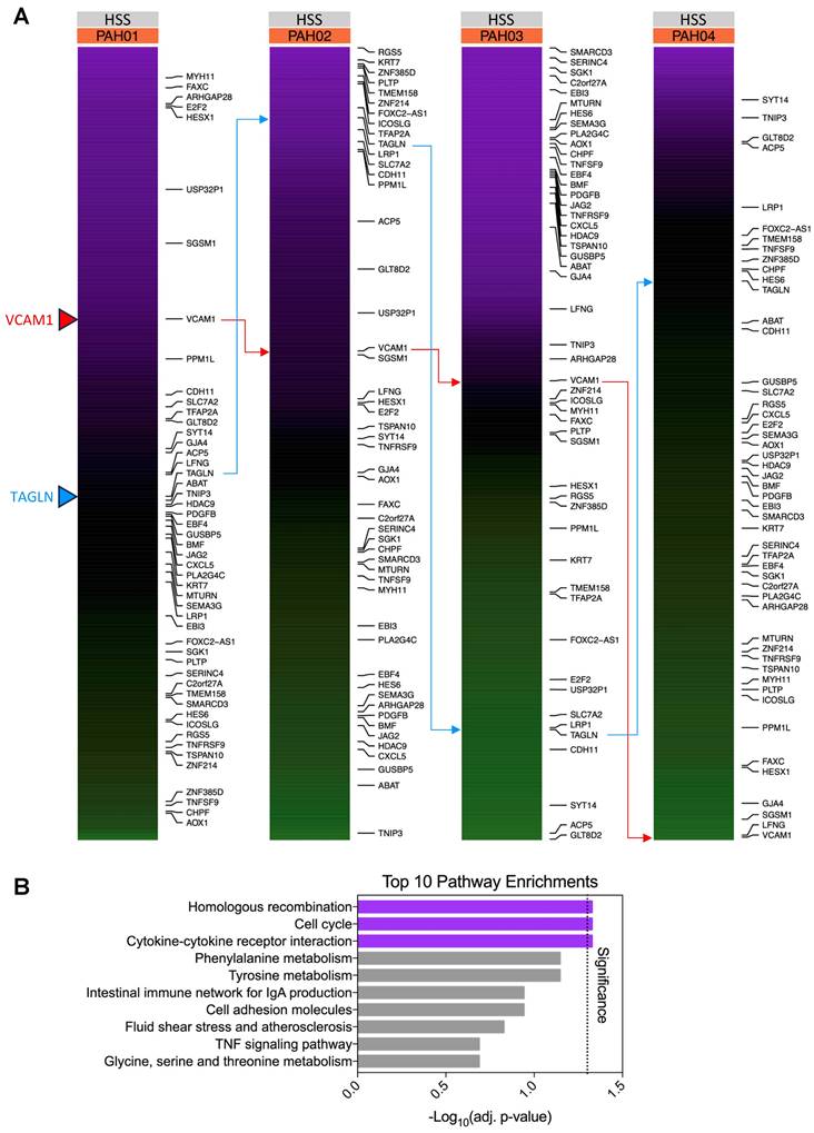 Theranostics Image