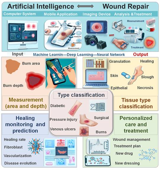 Theranostics Image