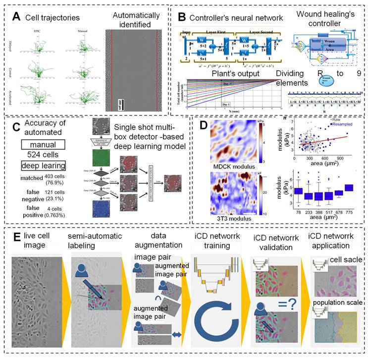 Theranostics Image