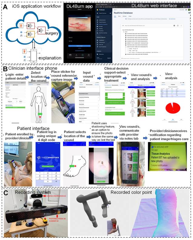 Theranostics Image