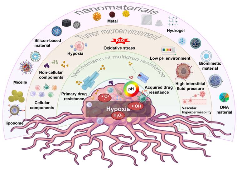 Theranostics Image