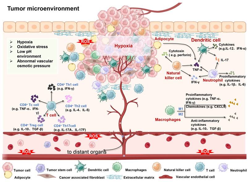 Theranostics Image