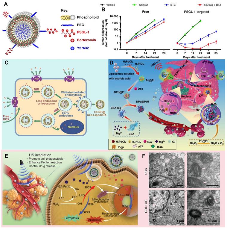 Theranostics Image