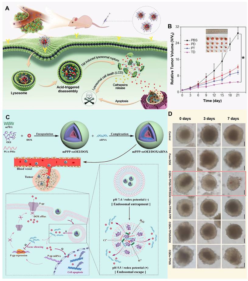 Theranostics Image