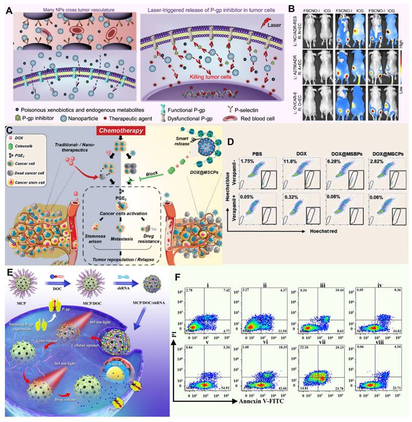 Theranostics Image