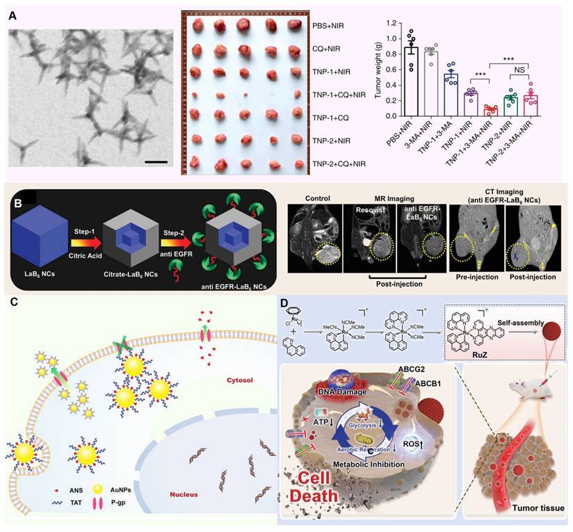 Theranostics Image