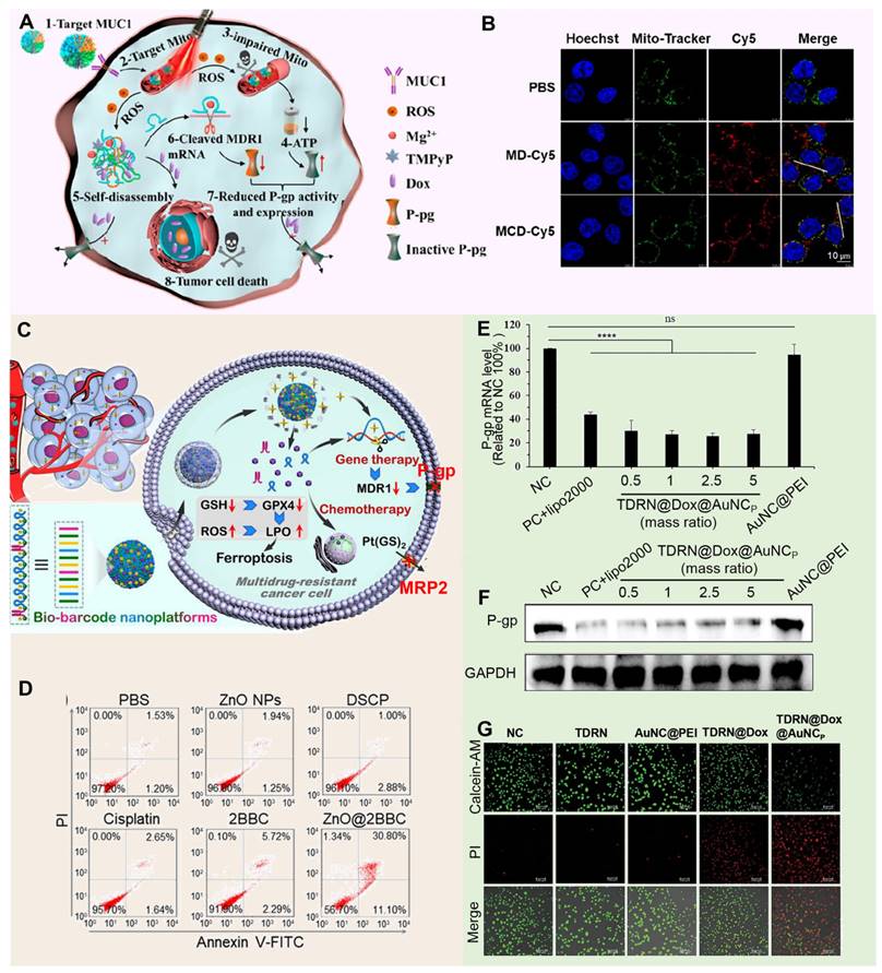 Theranostics Image