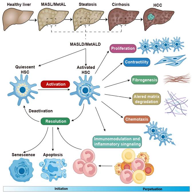 Theranostics Image