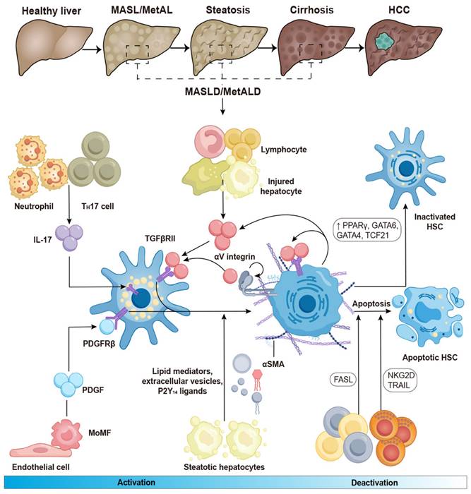 Theranostics Image