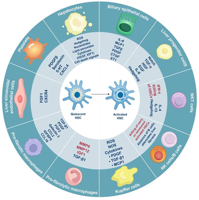 Theranostics Image