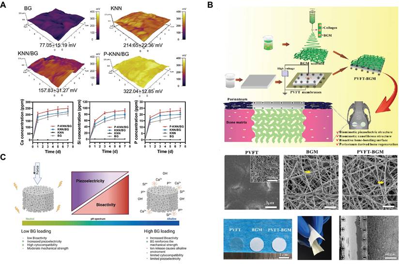 Theranostics Image