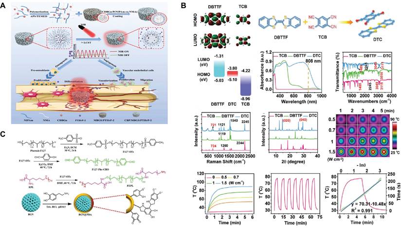 Theranostics Image