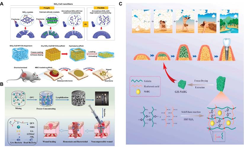 Theranostics Image