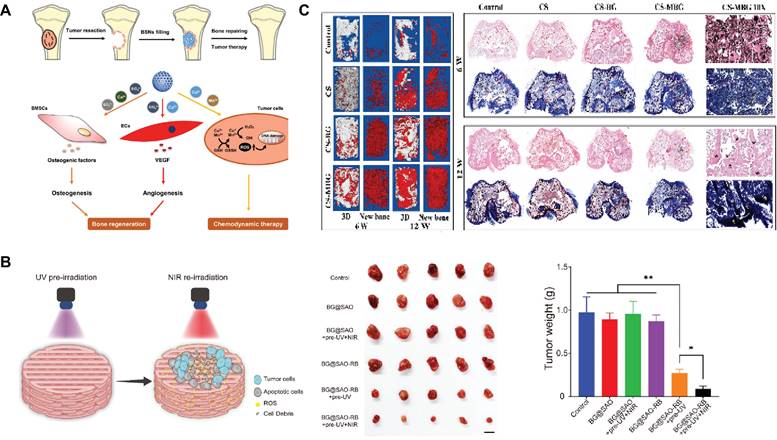 Theranostics Image