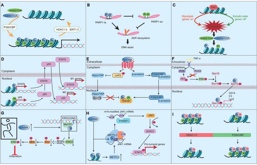 Theranostics Image