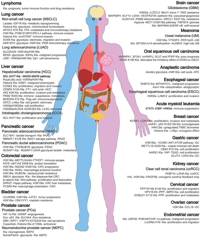 Theranostics Image