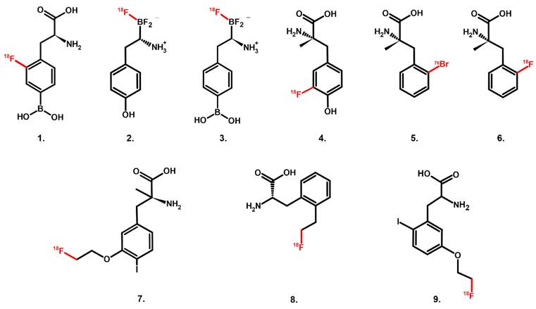 Theranostics Image