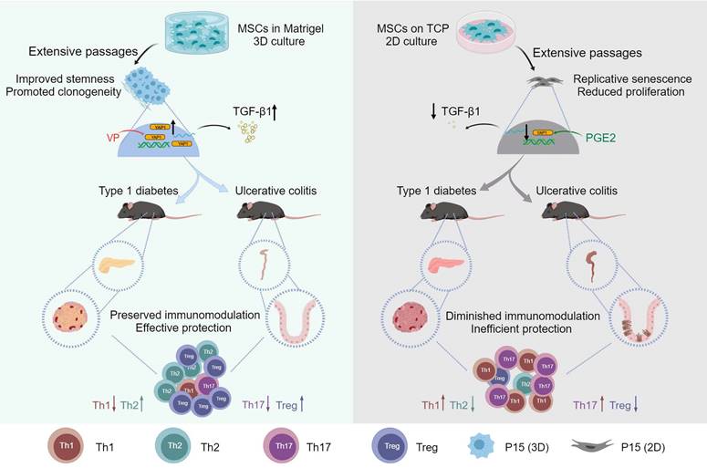 Theranostics Image