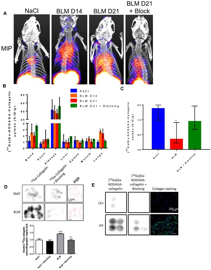 Theranostics Image