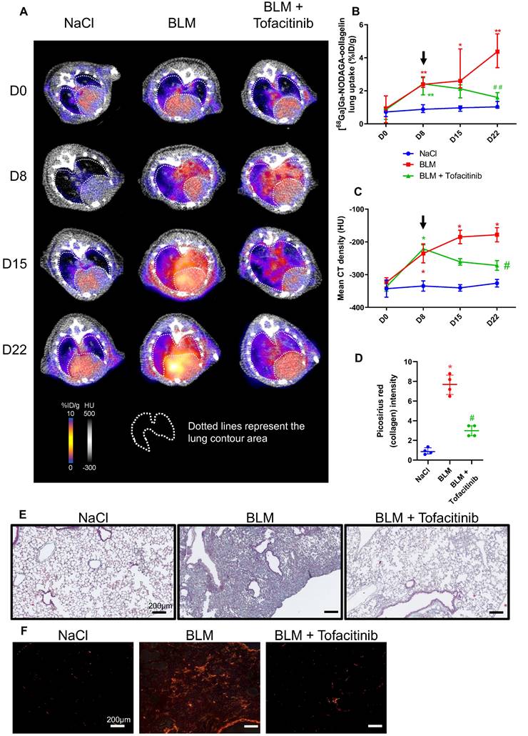 Theranostics Image