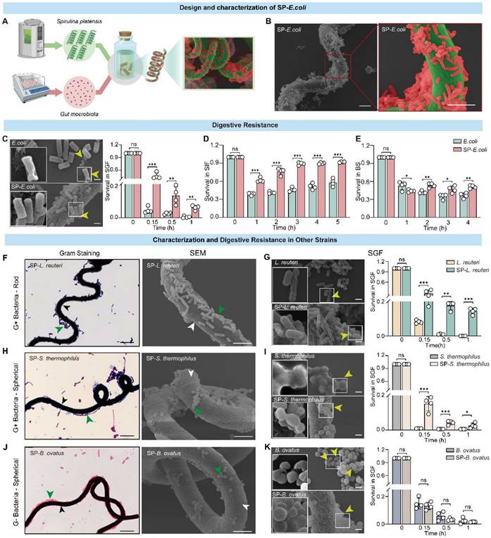 Theranostics Image