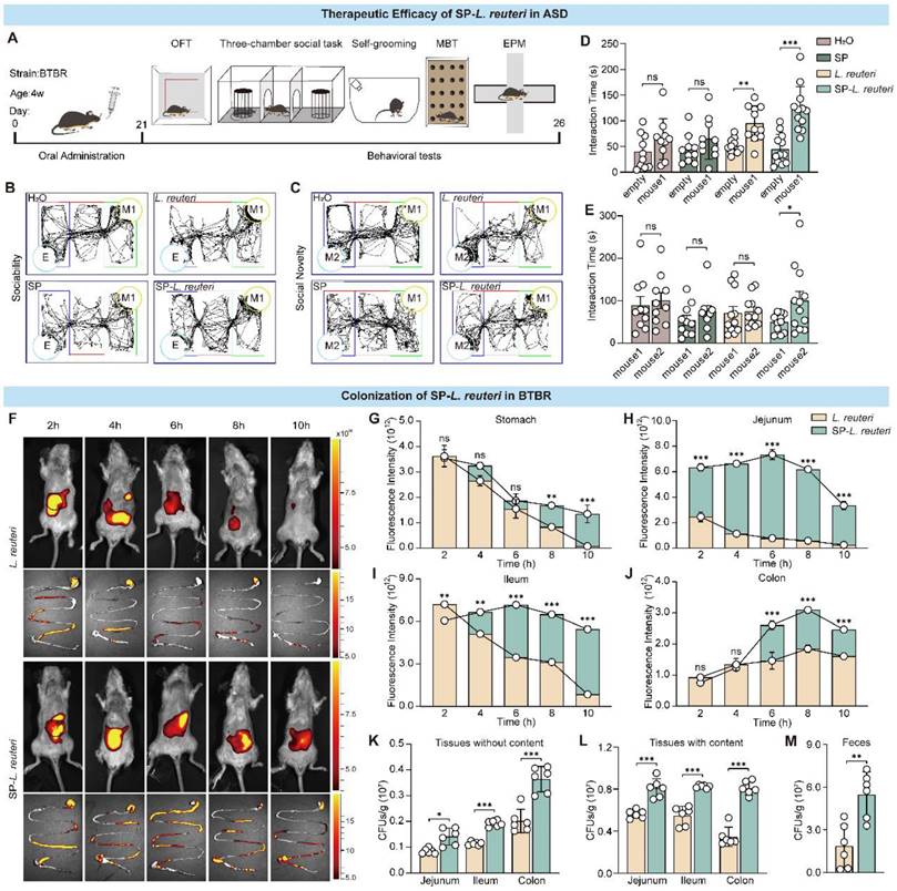 Theranostics Image