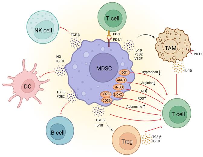 Theranostics Image