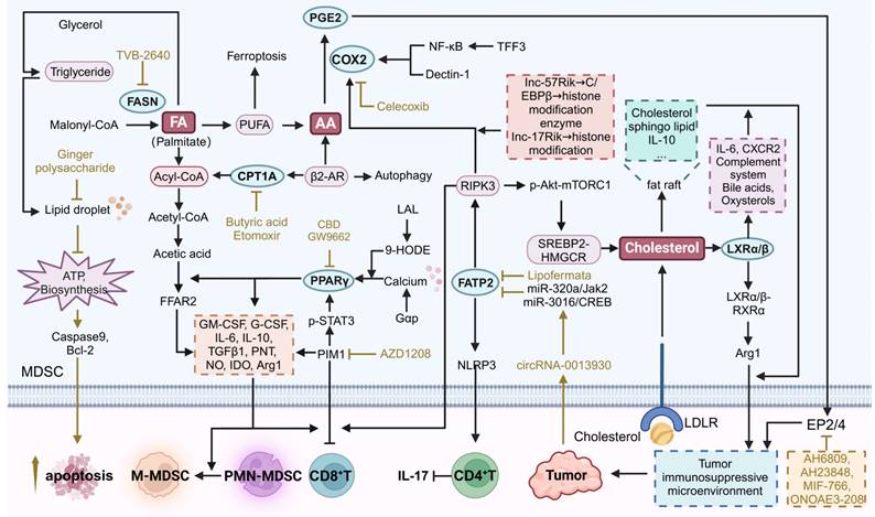 Theranostics Image