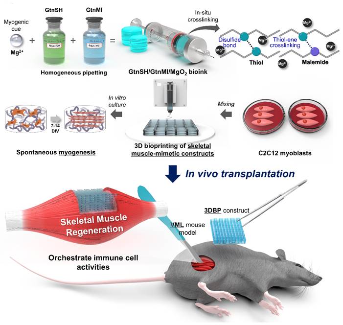 Theranostics Image