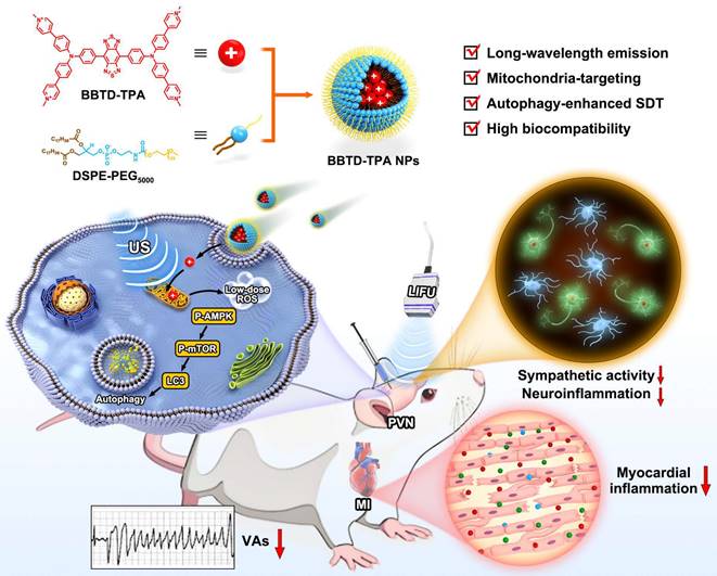 Theranostics Image