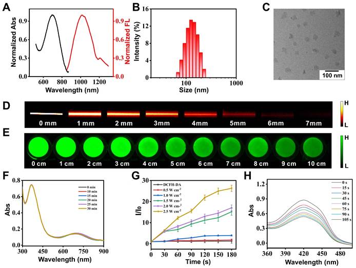 Theranostics Image