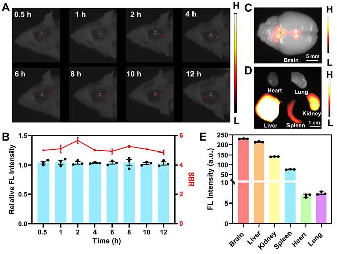 Theranostics Image