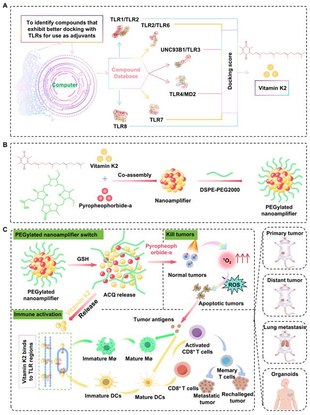 Theranostics Image