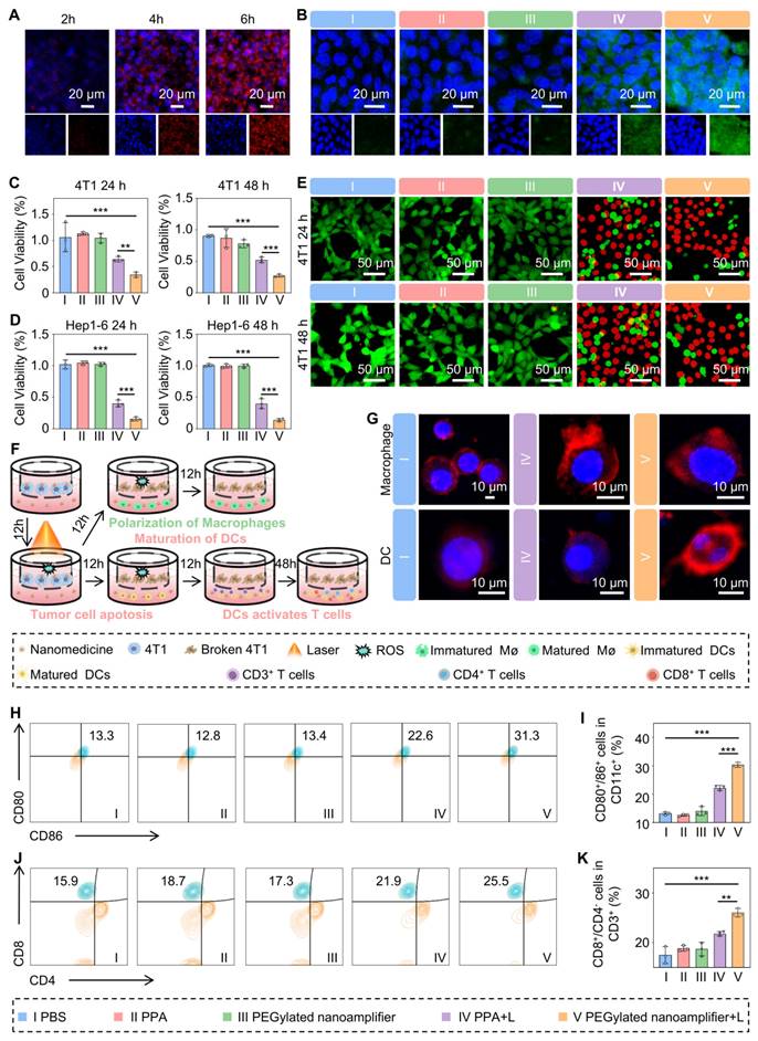 Theranostics Image