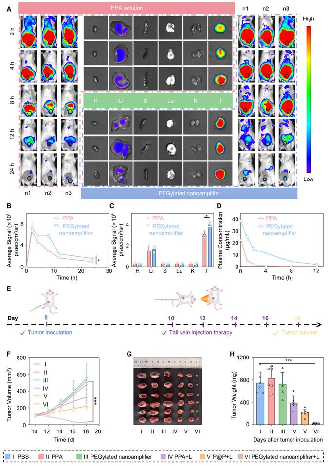 Theranostics Image