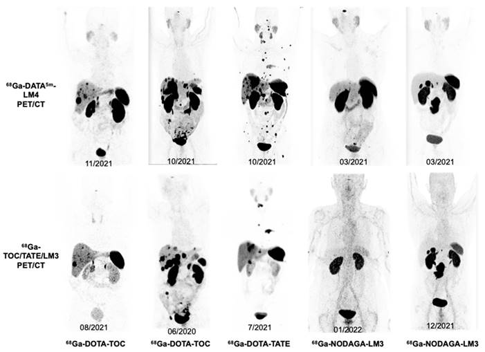 Theranostics Image