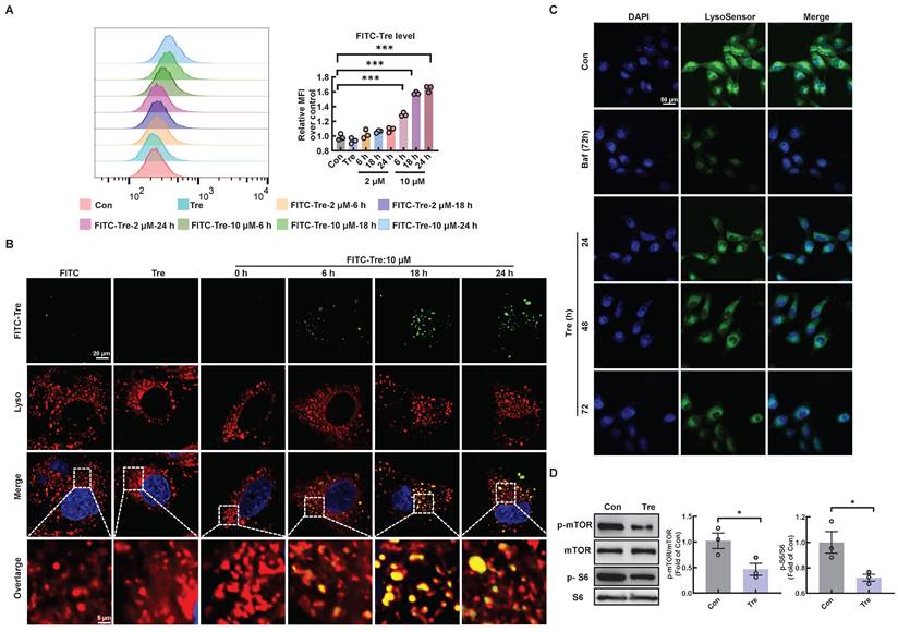 Theranostics Image