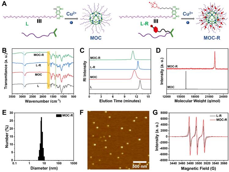 Theranostics Image