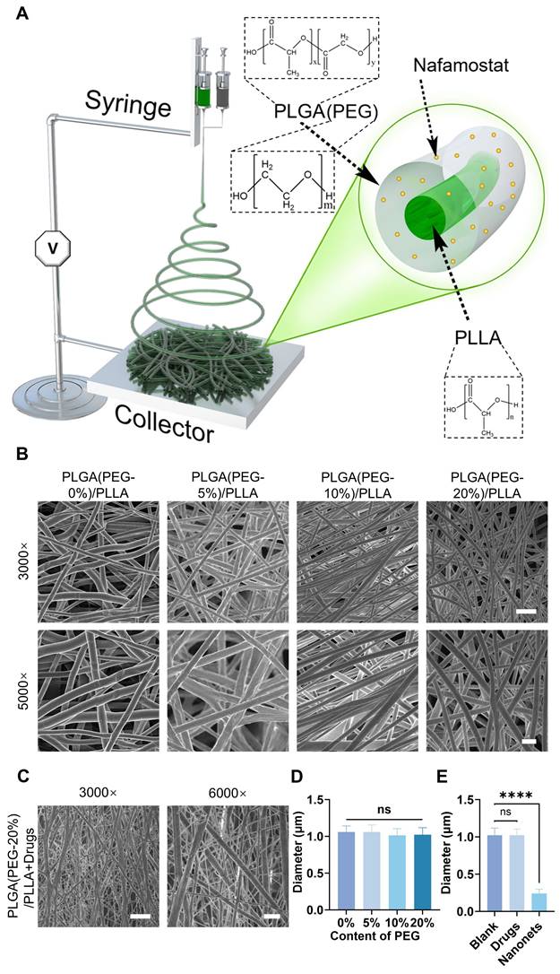 Theranostics Image