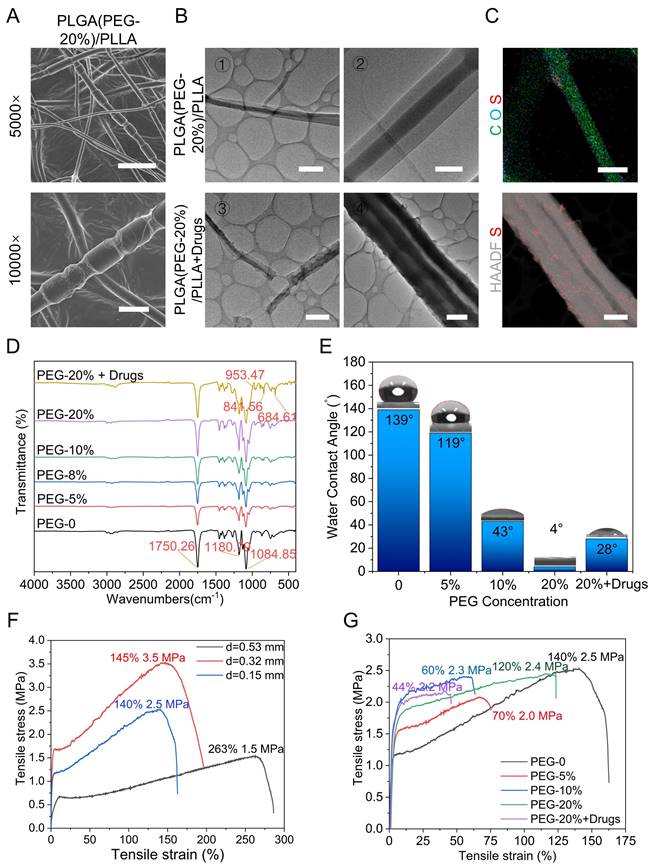 Theranostics Image