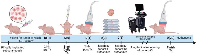 Theranostics Image