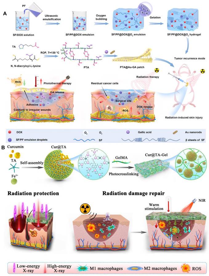 Theranostics Image