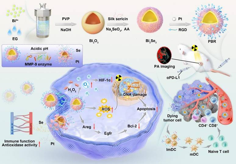 Theranostics Image