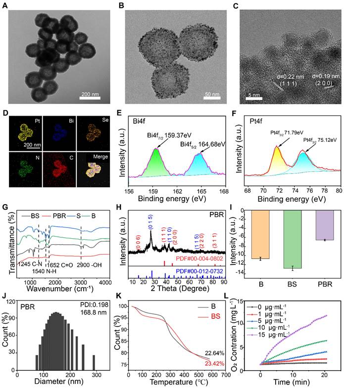 Theranostics Image