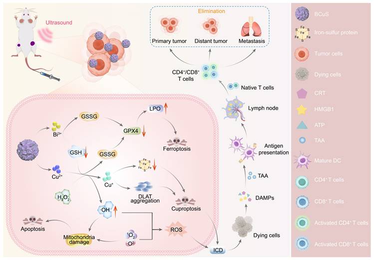 Theranostics Image