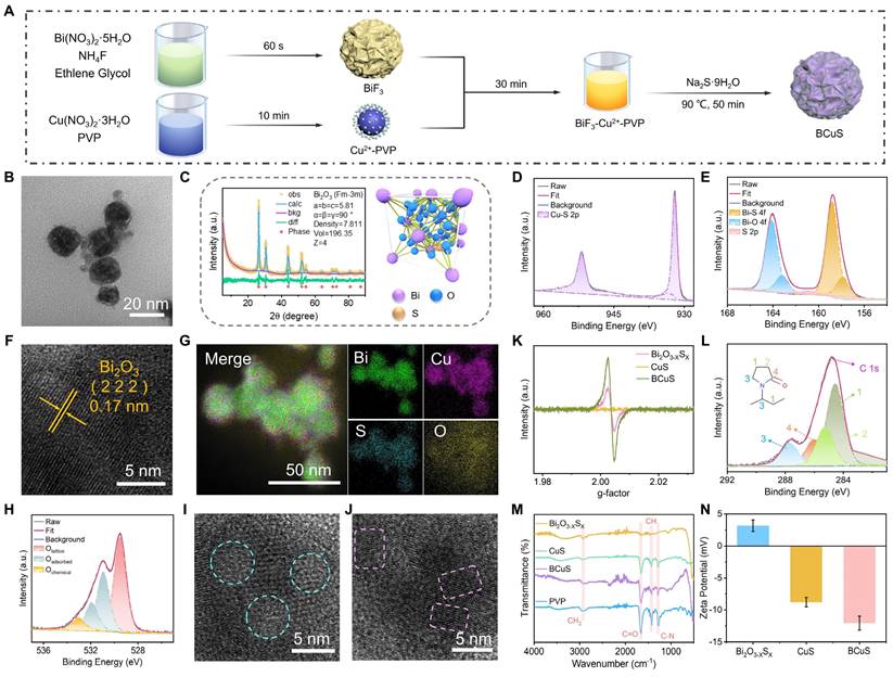 Theranostics Image