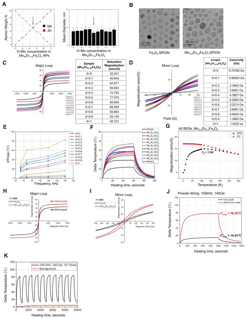 Theranostics Image