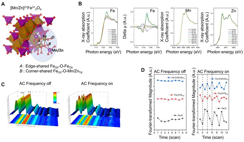 Theranostics Image