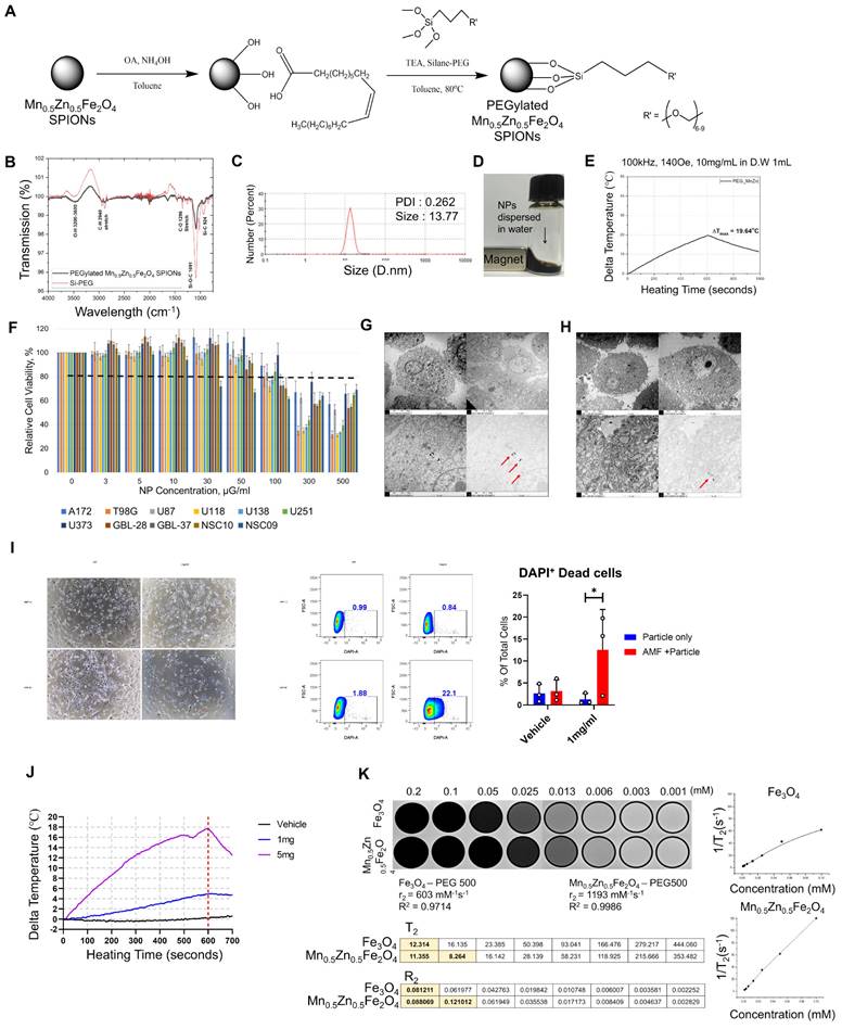 Theranostics Image